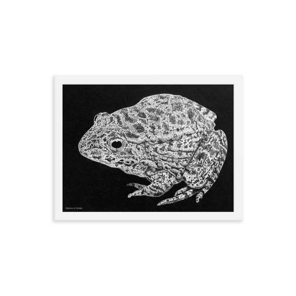 Mississippi Gopher Frog Art Print