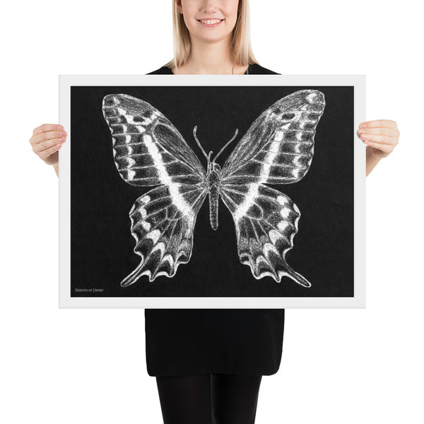 Schaus Swallowtail Art Print