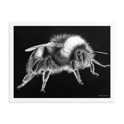 Bumblebee Art Print