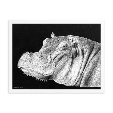 Hippopotamus Art Print