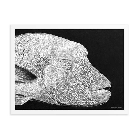 Humphead Wrasse Art Print