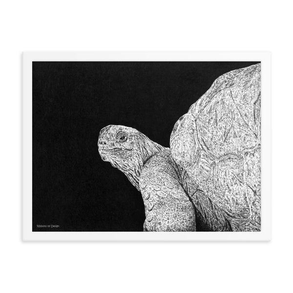 Giant Tortoise Art Print