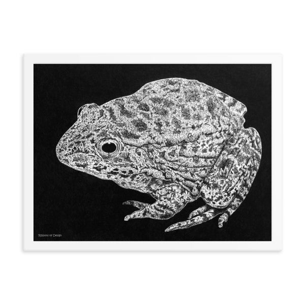 Mississippi Gopher Frog Art Print